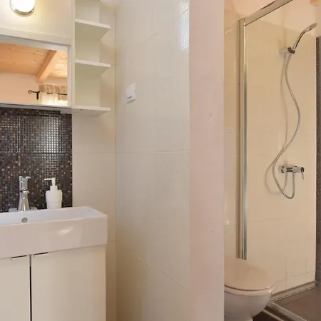 Villa Cozy Istrian Stone Sasso With Private Pool